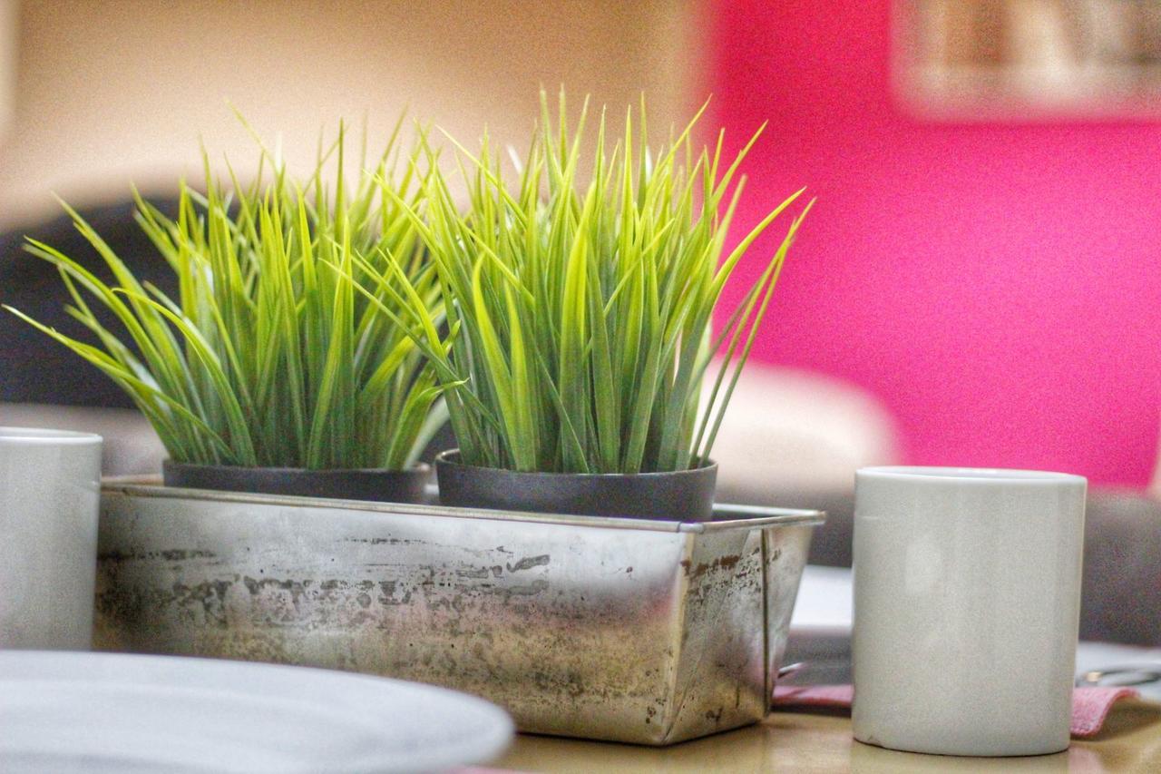 Apartamentos Alcazar De באיסה מראה חיצוני תמונה